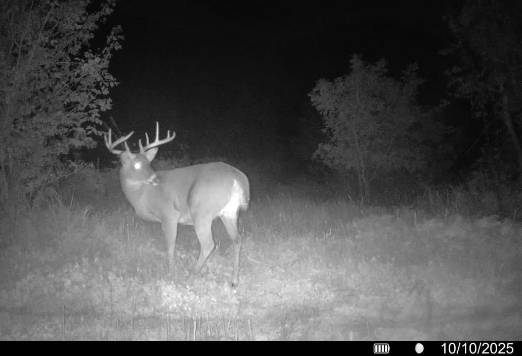 Lot 0 Highway 73 Marshall, WI 53559 - Photo 29 of 35