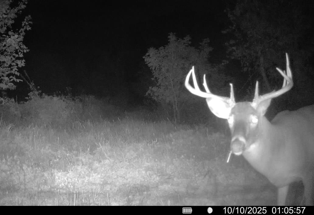 Lot 0 Highway 73 Marshall, WI 53559 - Photo 30 of 35