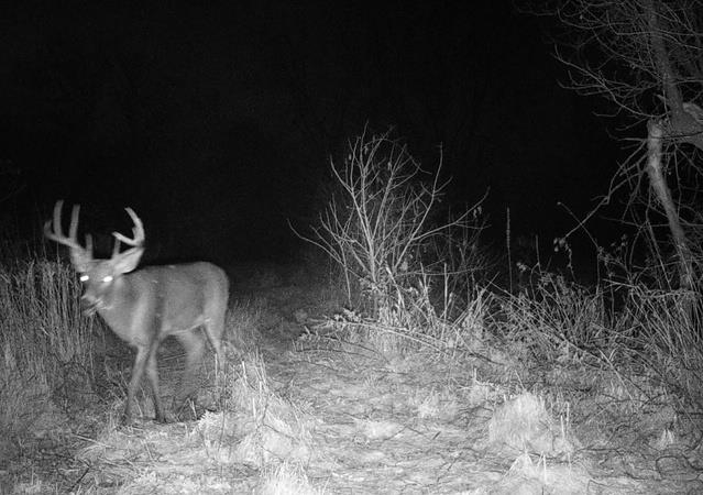 Lot 0 Highway 73 Marshall, WI 53559 - Photo 31 of 35