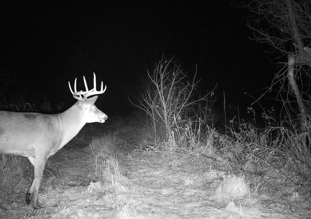 Lot 0 Highway 73 Marshall, WI 53559 - Photo 32 of 35