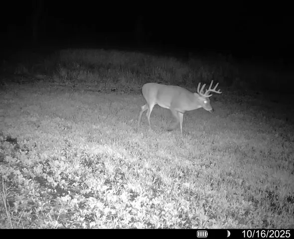 $1,150,000 | Lot 0 Highway 73, Marshall, WI 53559