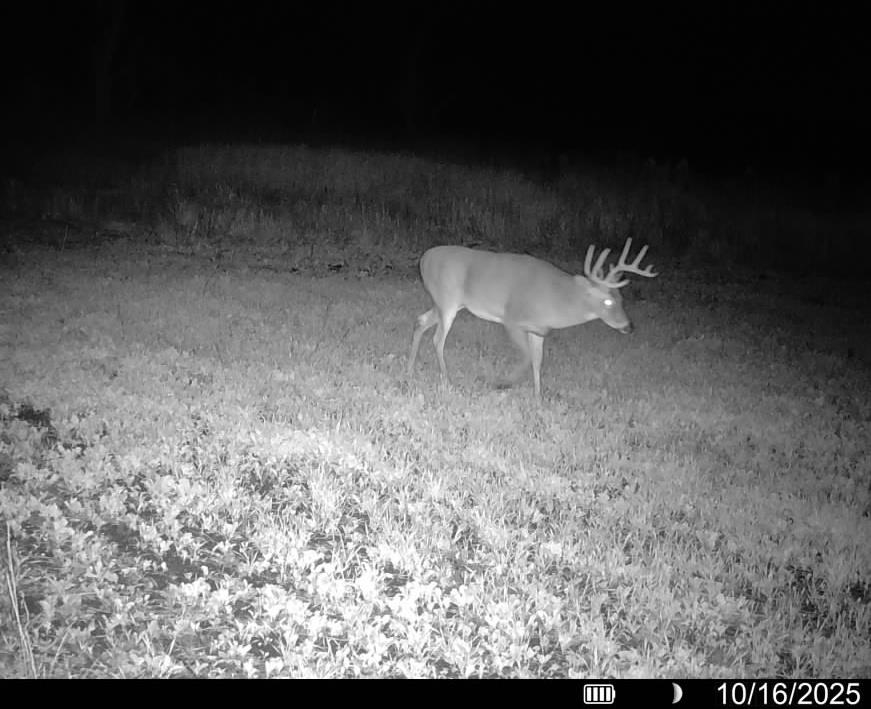 Lot 0 Highway 73 Marshall, WI 53559 - Photo 33 of 35