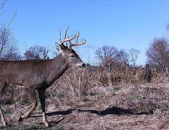Lot 0 Highway 73 Marshall, WI 53559 - Photo 34 of 35
