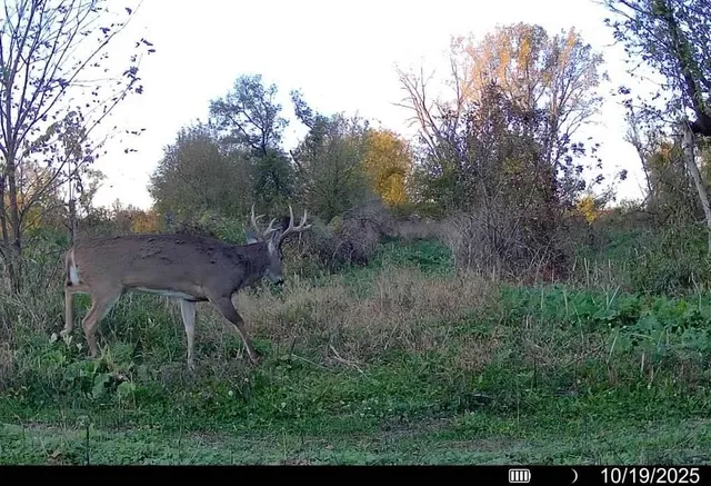 $1,150,000 | Lot 0 Highway 73, Marshall, WI 53559