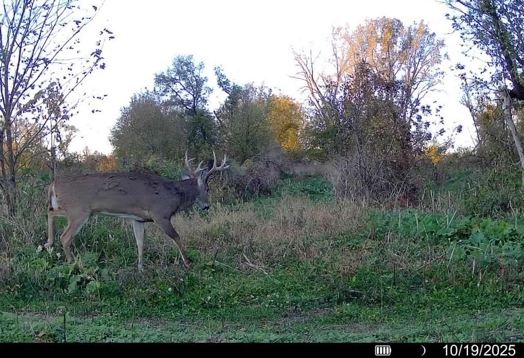Lot 0 Highway 73 Marshall, WI 53559 - Photo 35 of 35
