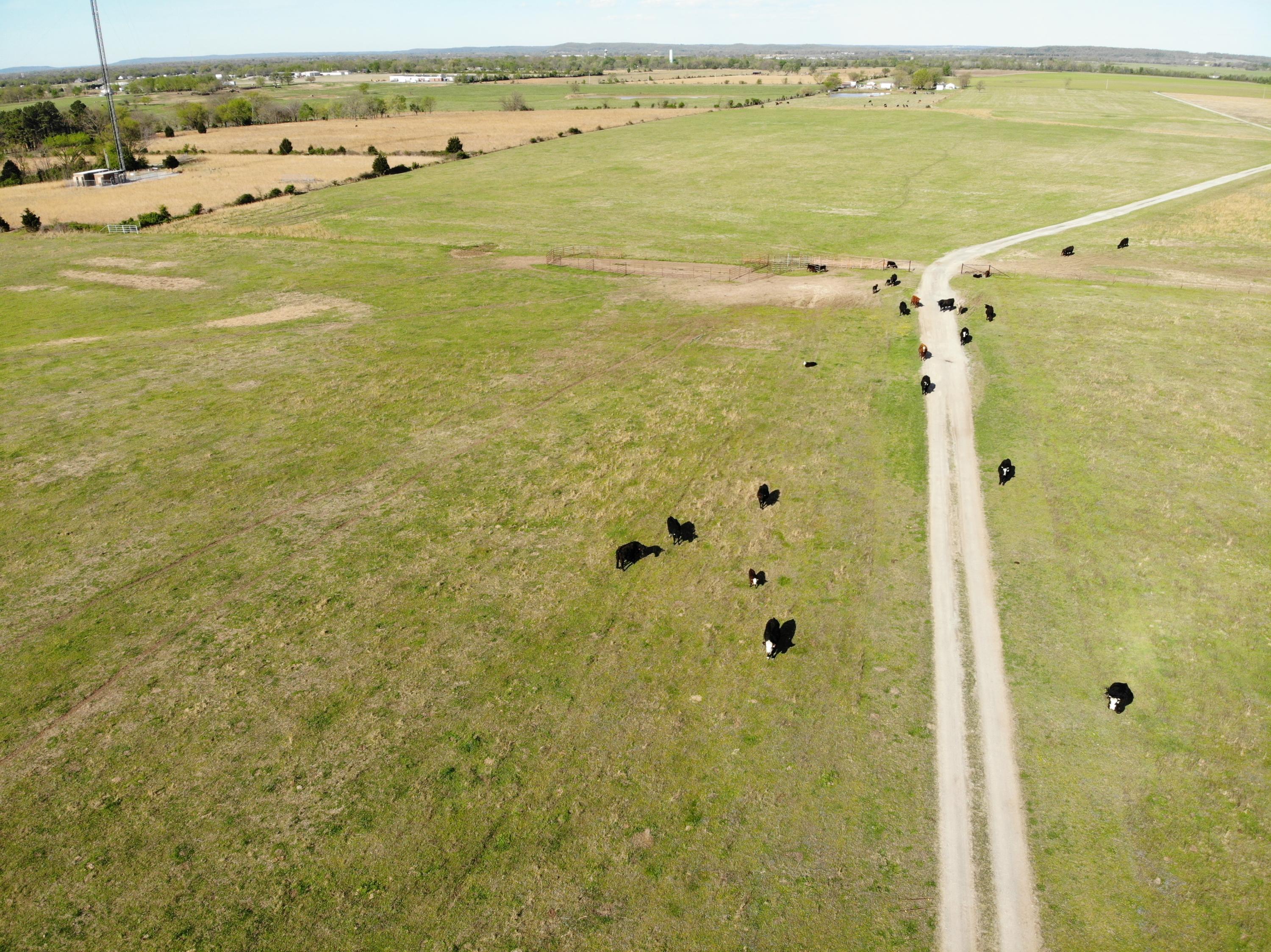 9660 North 435 Road Adair, OK 74330 - Photo 8 of 40 Gallery Image 8
