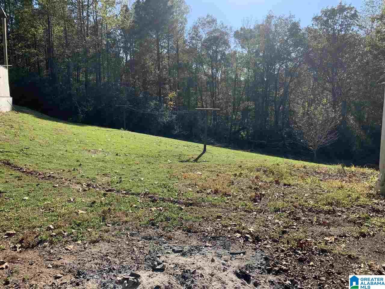 4809 County Road 73 Randolph, AL 36792 - Photo 14 of 16