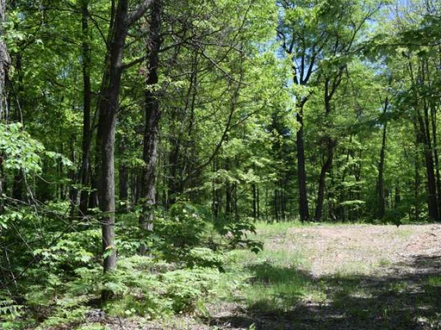 On Vets Memorial Drive Rhinelander, WI 54501 - Photo 16 of 20 Gallery Image 16