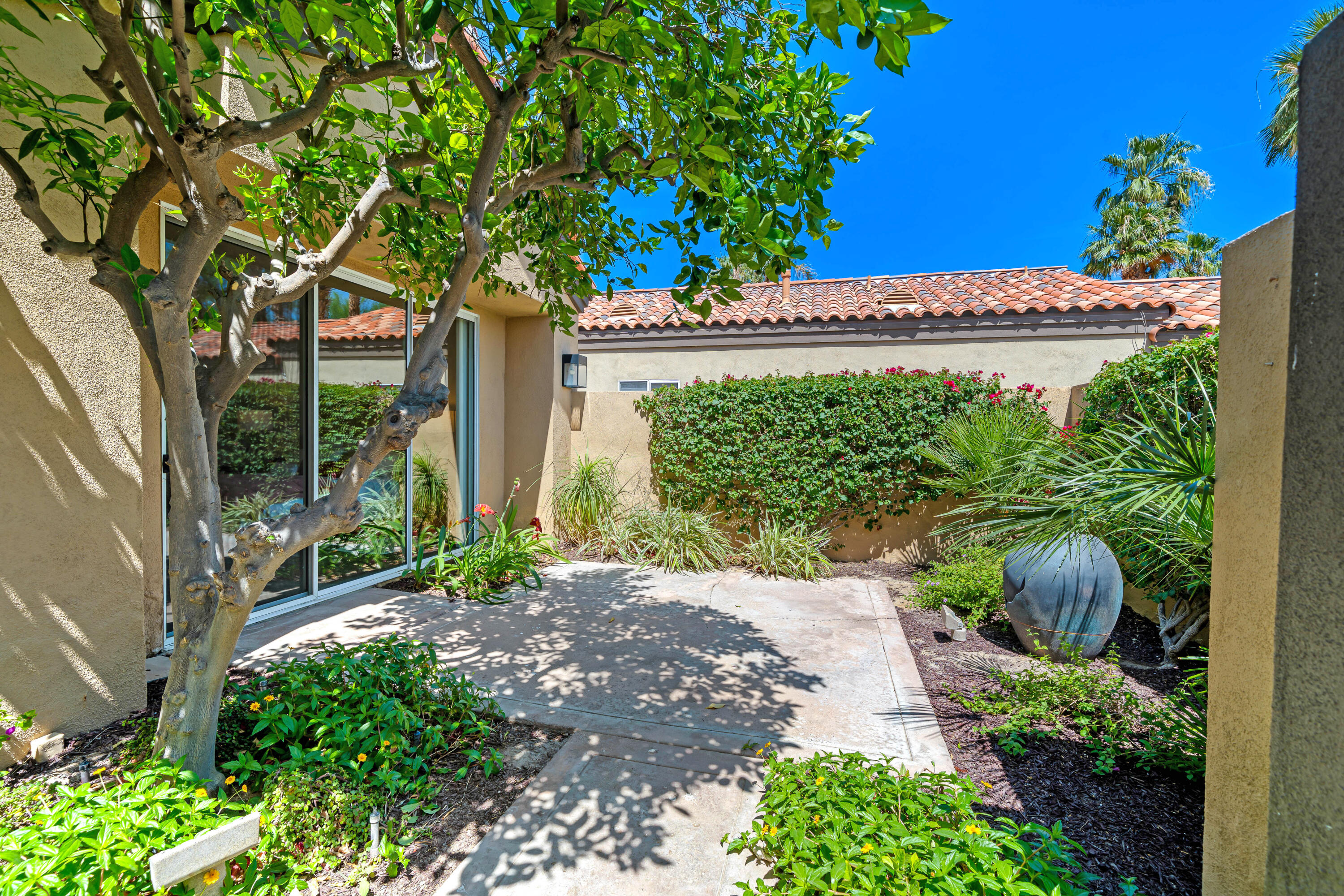 56565 Riviera La Quinta, CA 92253 - Photo 10 of 48 a view of a backyard with plants and large tree