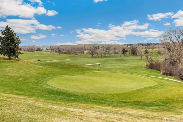 a big yard with lots of green space and trees