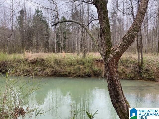 Pendley Creek Road, Unit 7 Carbon Hill, AL 35549 - Photo 1 of 10