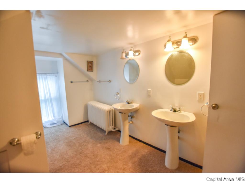 1229 North 3rd Street Springfield, IL 62702 - Photo 28 of 28