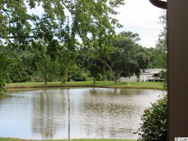 92 Dubose Loop Murrells Inlet, SC 29576 - Photo 6 of 25