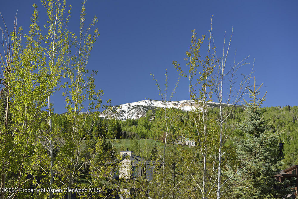 27 Turkey Trot Court Snowmass Village, CO 81615 - Photo 44 of 45 a view of a garden with plants