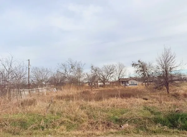a view of yard
