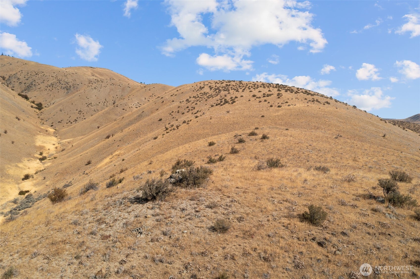 0 Entiat River Road, Unit LOT 5 Entiat, WA 98822 - Photo 21 of 36 a view of a dry yard with mountains in the background