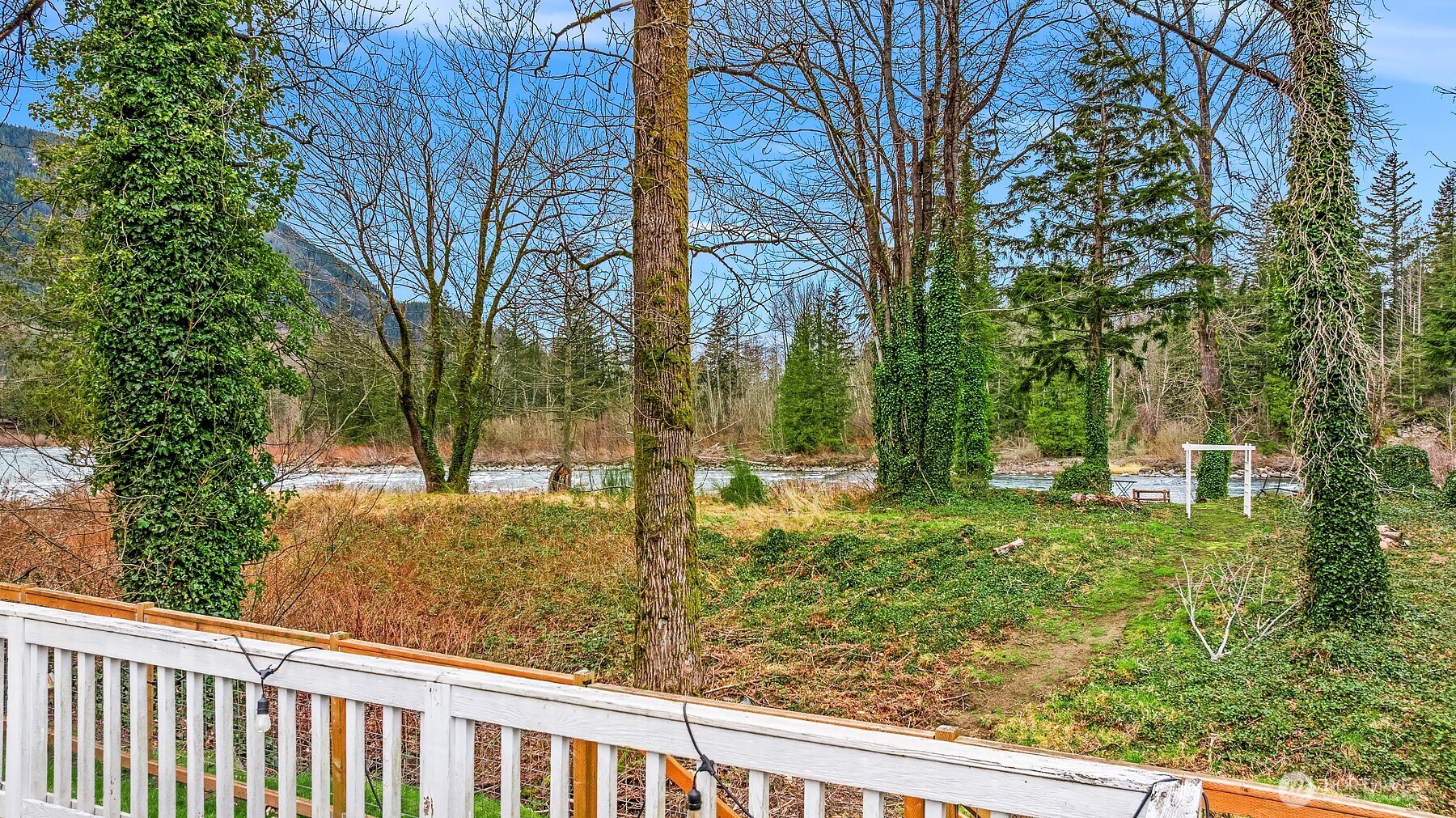 44103 Fir Road Gold Bar, WA 98251 - Photo 19 of 26 a view of a yard with plants