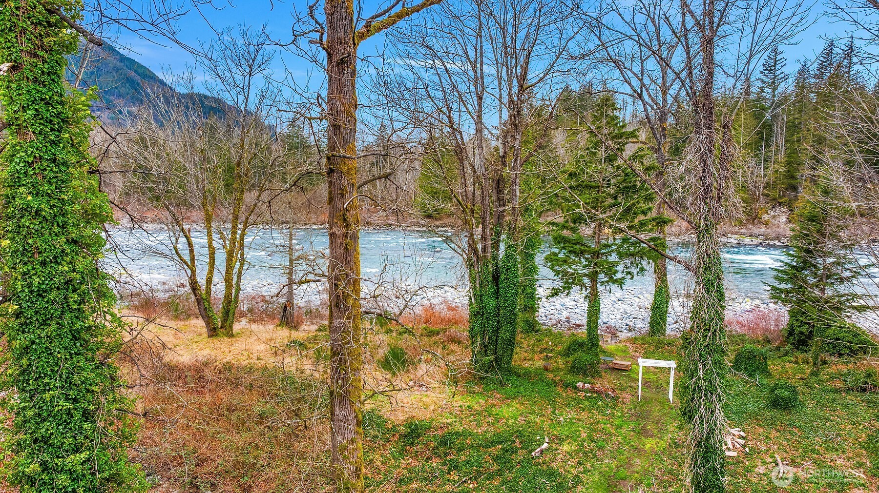 44103 Fir Road Gold Bar, WA 98251 - Photo 20 of 26 a backyard of a building with large trees