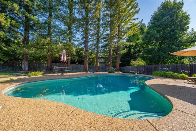 a view of a swimming pool with a garden