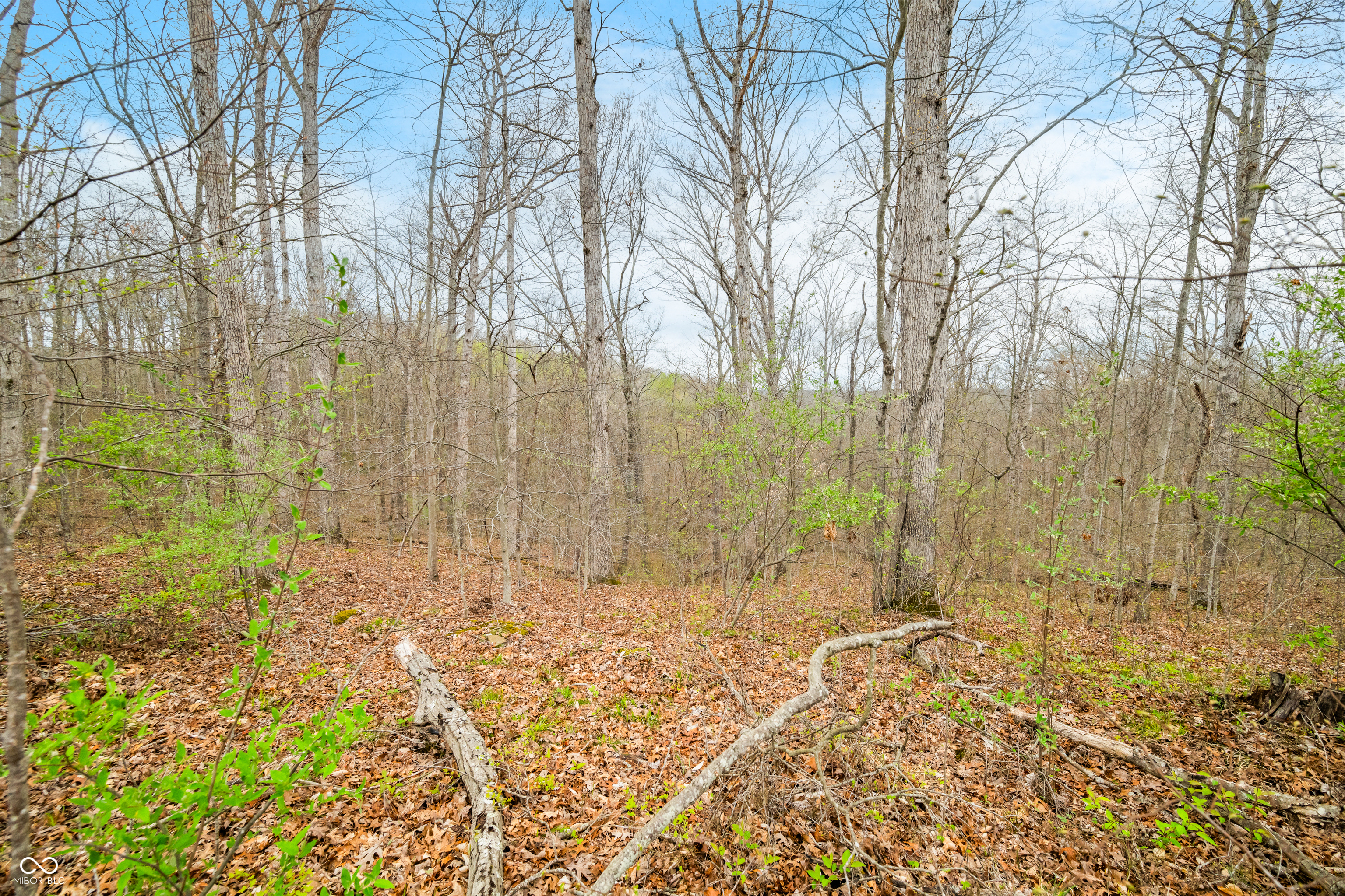 4100 Lower Schooner Road Nashville, IN 47448 - Photo 1 of 32