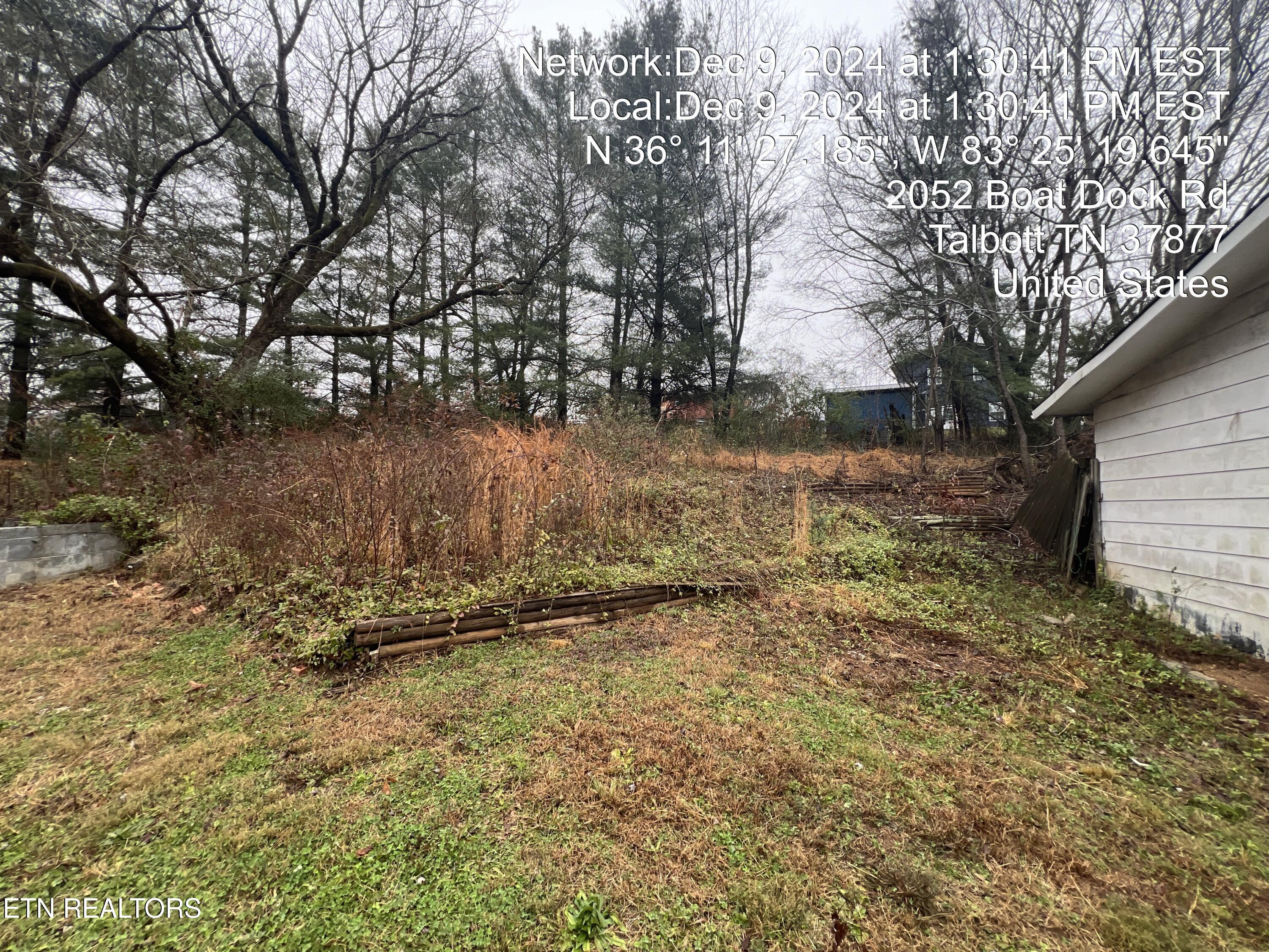 2052 Boat Dock Road Talbott, TN 37877 - Photo 10 of 24 20241209_183041530_iOS