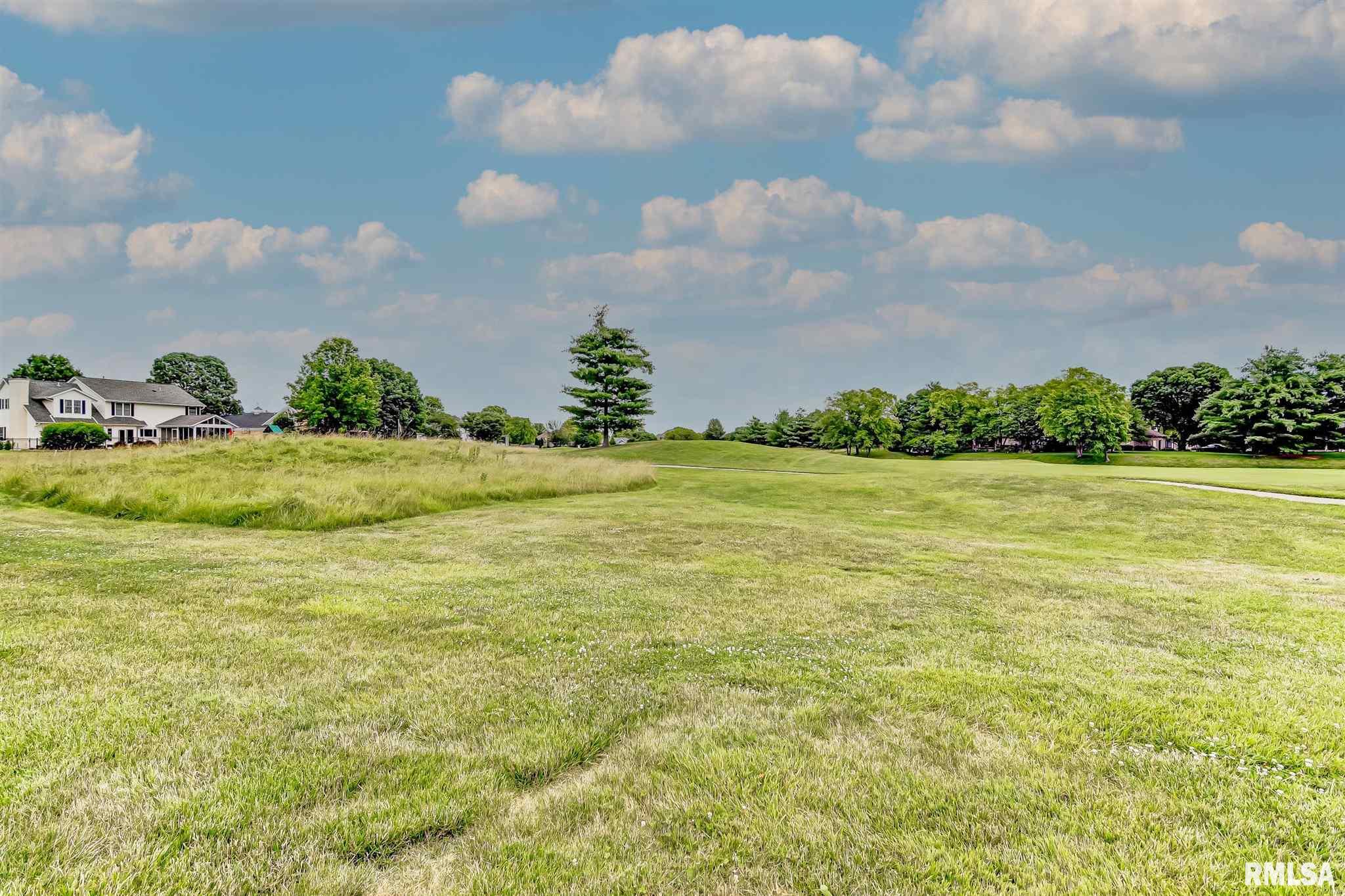 5008 Foxfire Court Springfield, IL 62711 - Photo 45 of 50 Gallery Image 45