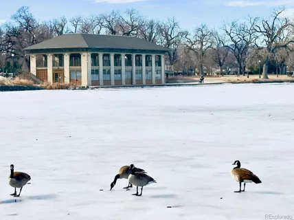 a view of house with yard