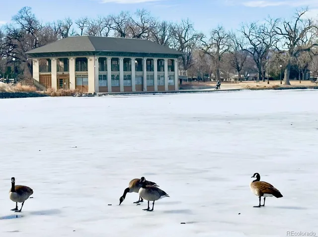 $185,000 | 10 North Ogden Street, Unit 5, Denver, CO 80218