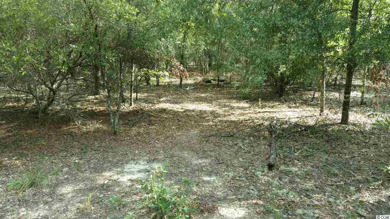 Tbd M W Stroud Road Nichols, SC 29581 - Photo 1 of 3 Gallery Image 1
