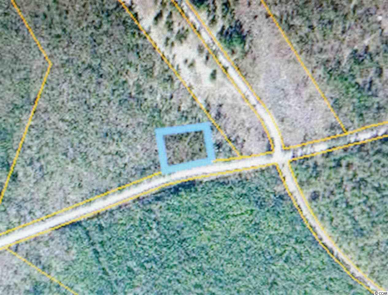 Tbd M W Stroud Road Nichols, SC 29581 - Photo 2 of 3 Gallery Image 2