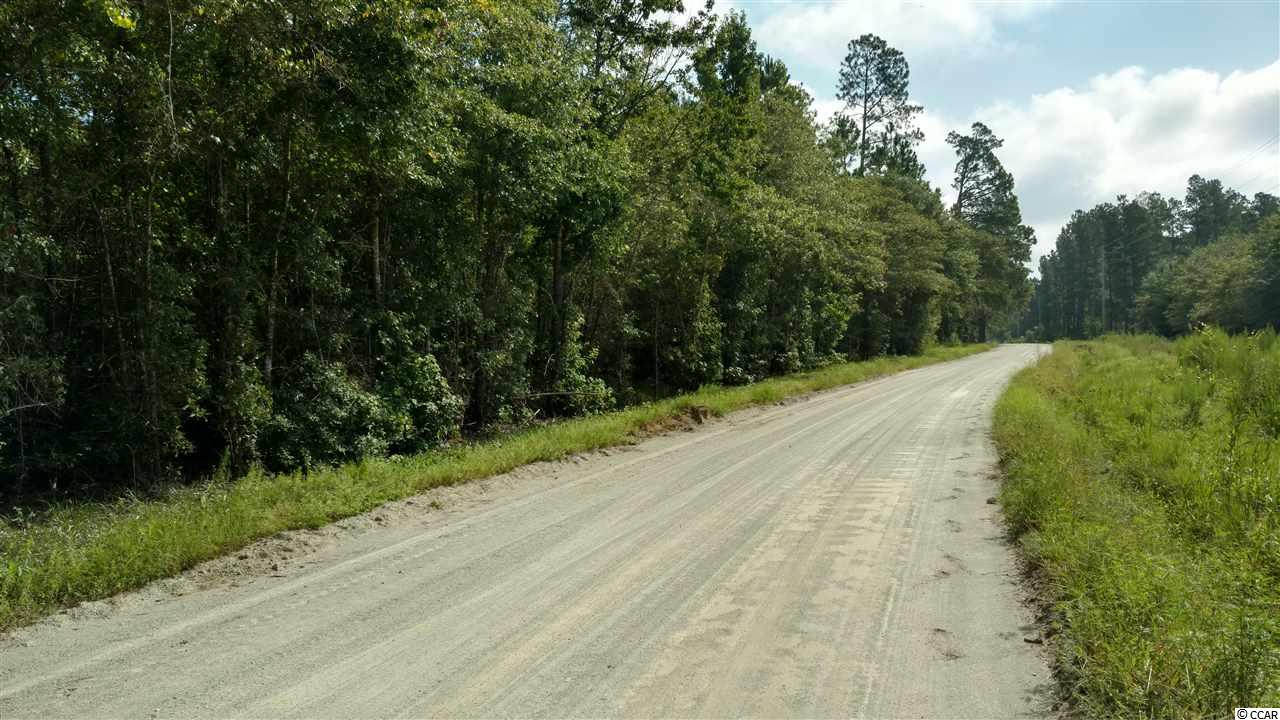 Tbd M W Stroud Road Nichols, SC 29581 - Photo 3 of 3 Gallery Image 3
