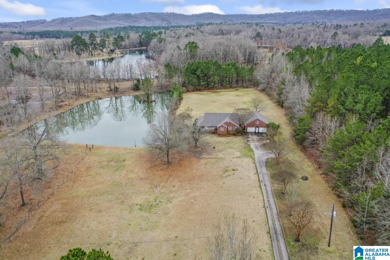 1726 Alston Farm Road Columbiana, AL 35051 - Photo 55 of 61