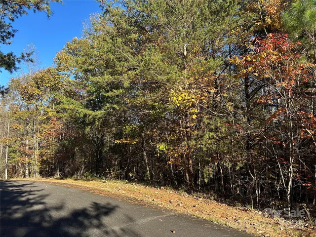 a view of a yard with a tree