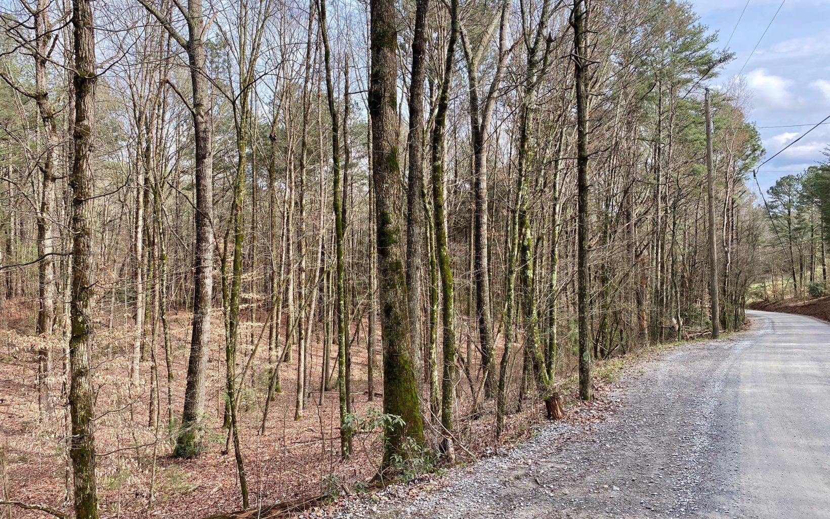14-ac Pettit Road Ellijay, GA 30536 - Photo 1 of 1 Main View