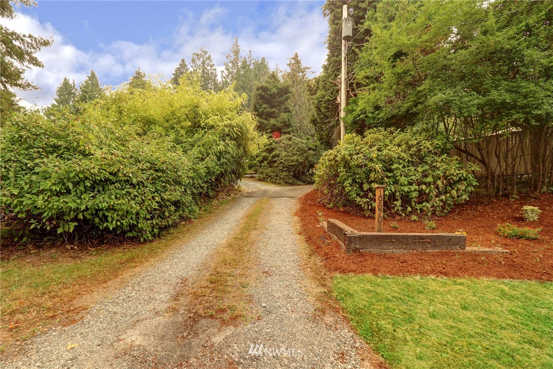 19670 Southeast 139th Place Renton, WA 98059 - Photo 4 of 25 a view of a yard with plants and large trees