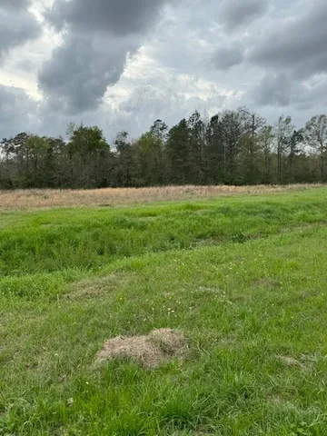 $349,000 | 0 Maxwell Drive, Silsbee, TX 77656