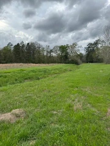 $349,000 | 0 Maxwell Drive, Silsbee, TX 77656