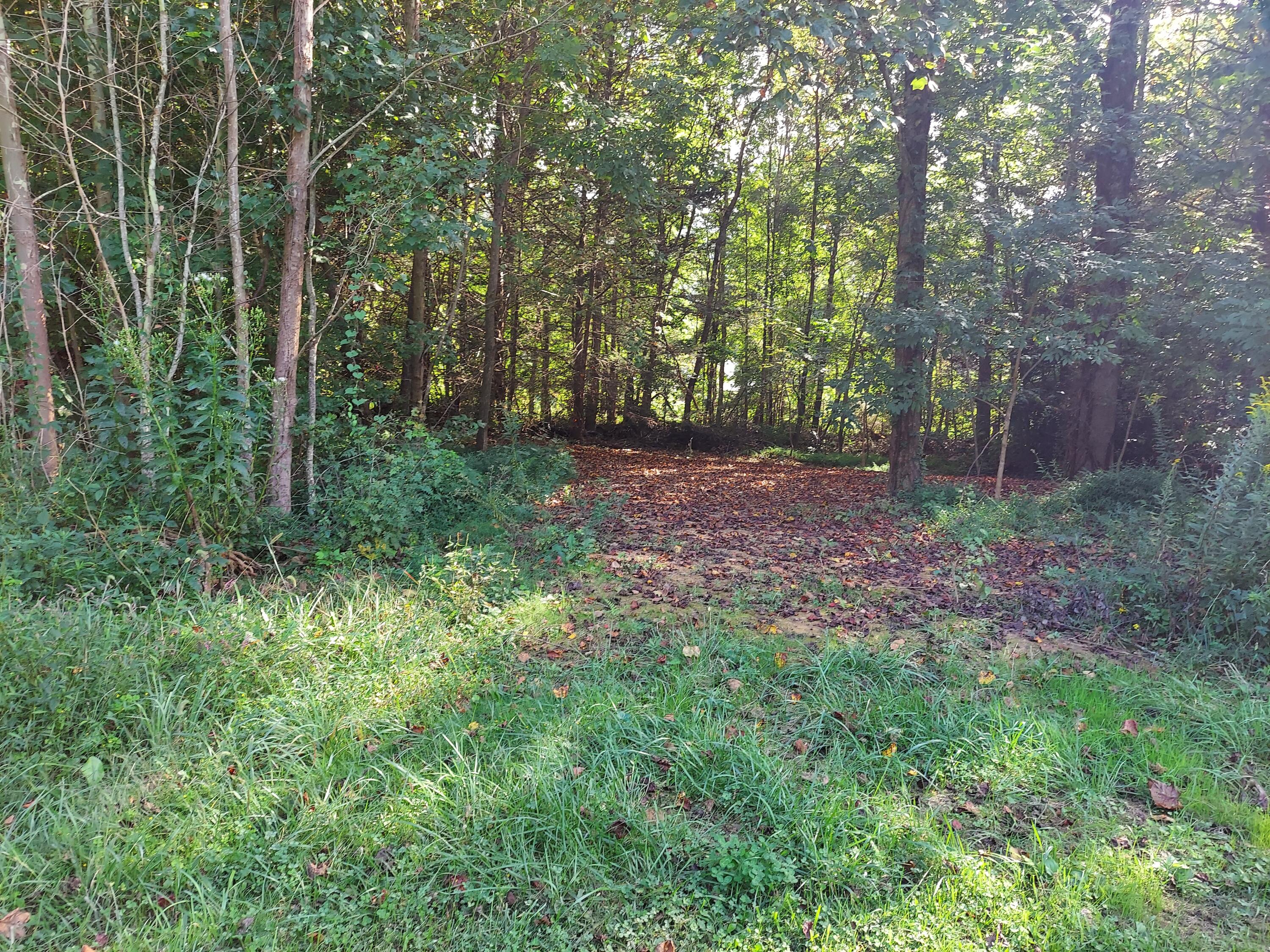 175 White Street Erwin, TN 37650 - Photo 49 of 51 20220919_162429