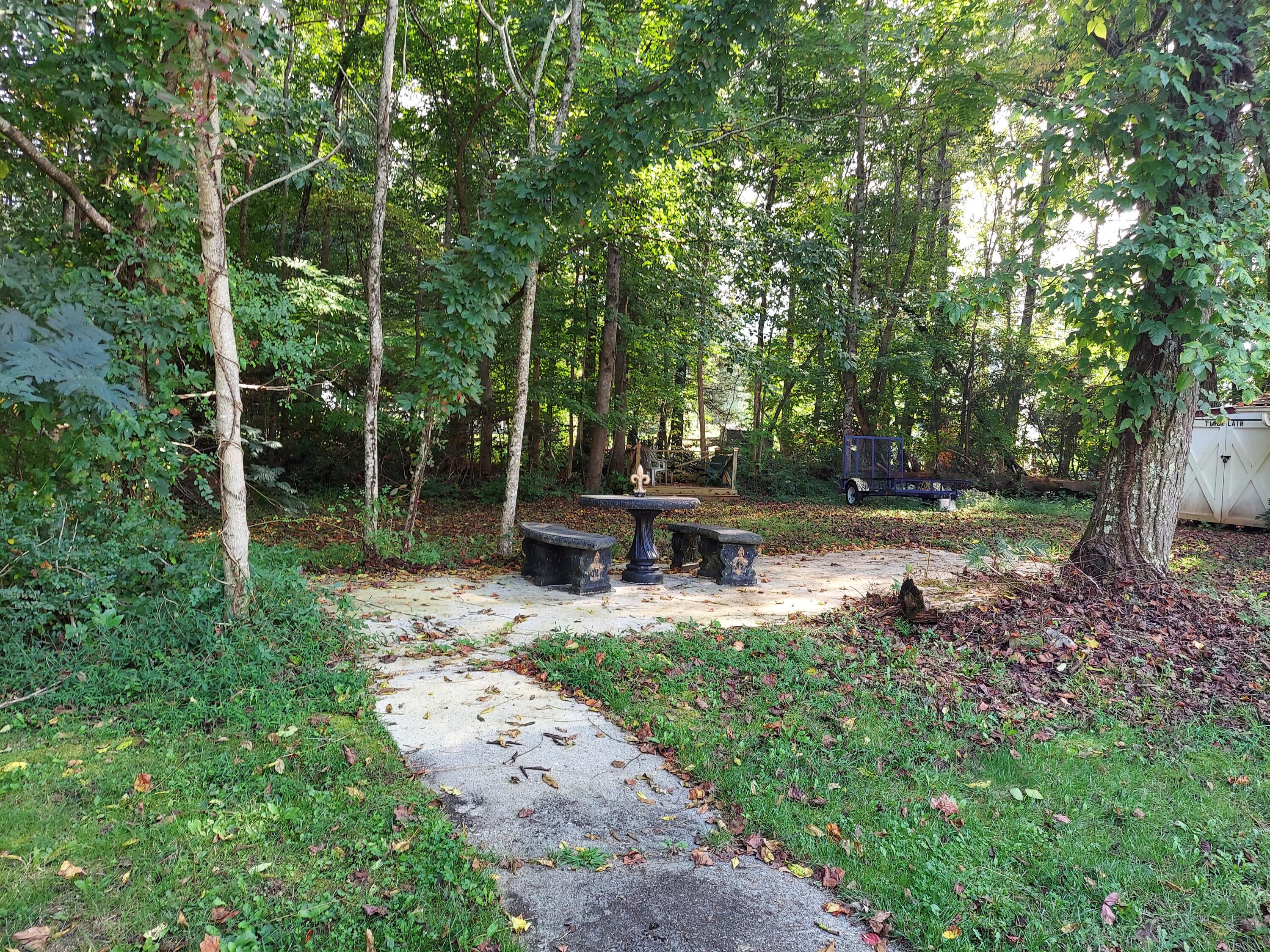 175 White Street Erwin, TN 37650 - Photo 50 of 51 20220919_162446 (1)