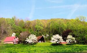 175 White Street Erwin, TN 37650 - Photo 51 of 51 image
