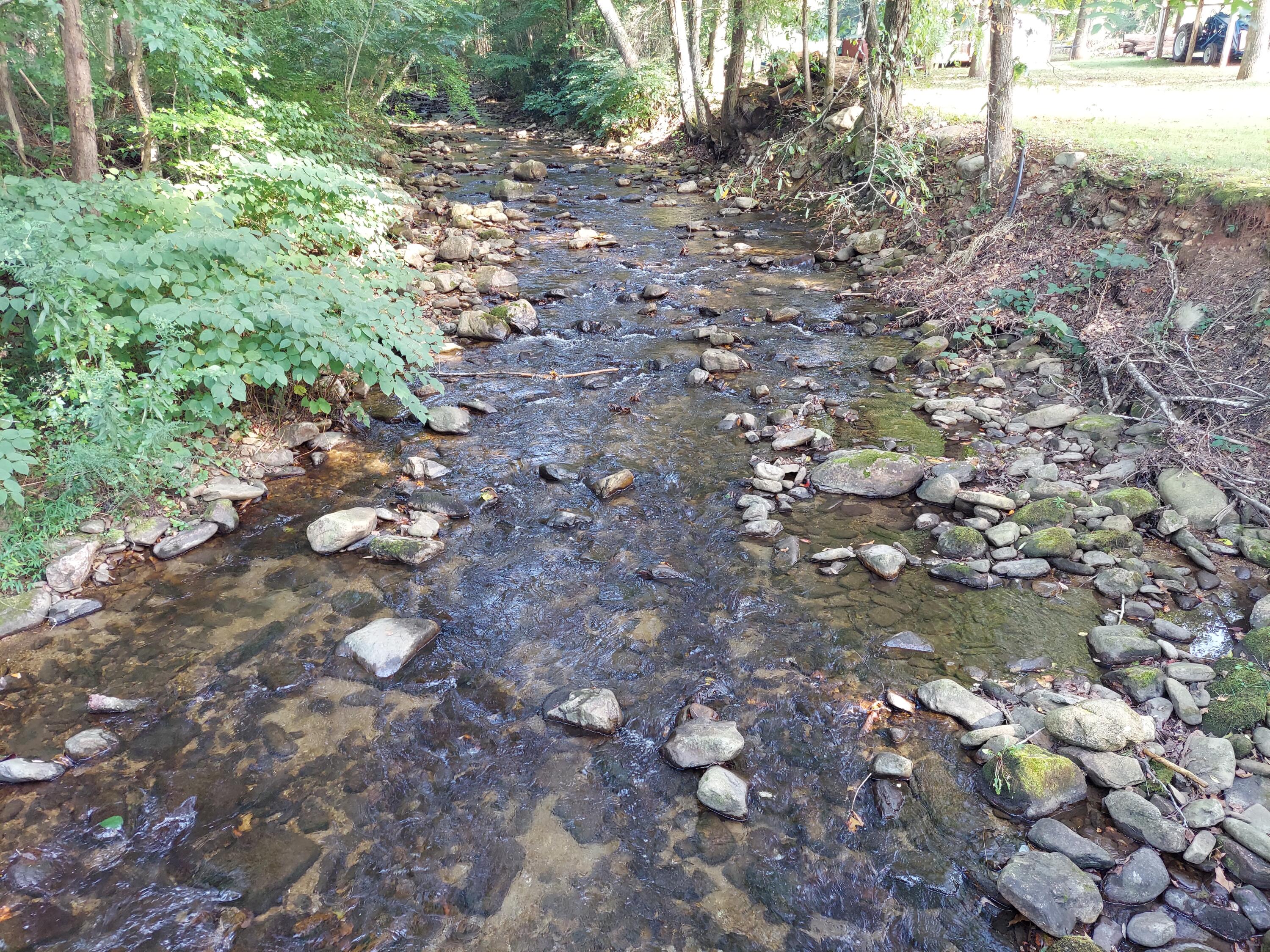 175 White Street Erwin, TN 37650 - Photo 6 of 51 20220919_162539