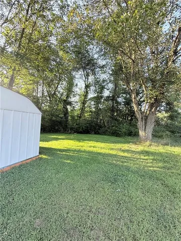 a view of a yard with a small trees