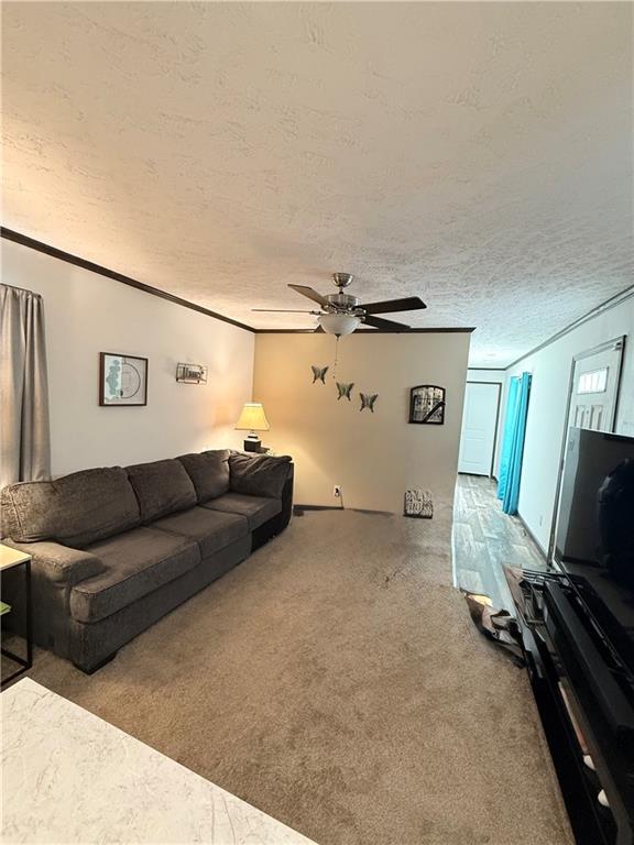 27 Manor Drive Bulger, PA 15019 - Photo 4 of 27 a living room with furniture and a flat screen tv