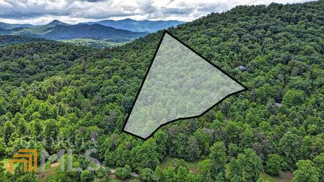 6-ac Old Logging Road Hiawassee, GA 30546 - Photo 1 of 1 Gallery Image 1