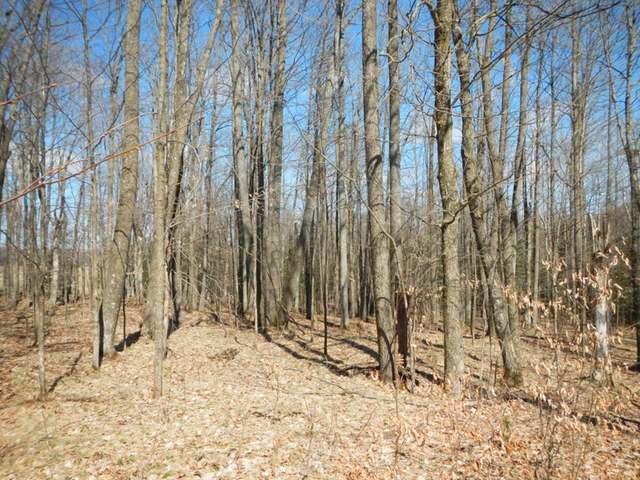 On Hallberg Road Ogema, WI 54459 - Photo 9 of 13 Gallery Image 9