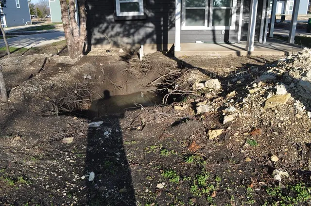 front view of a building with a tree