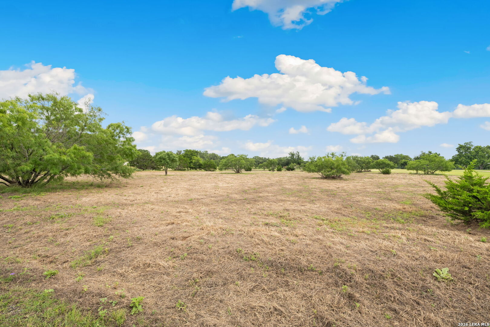 128 Rio Grande Drive Blanco, TX 78606 - Photo 5 of 16