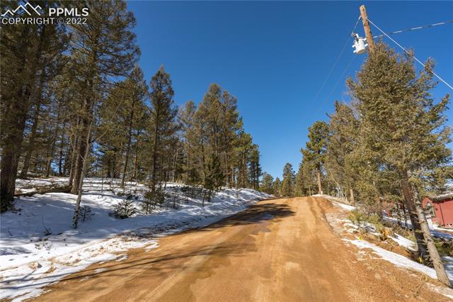 244 Tidi Road Florissant, CO 80816 - Photo 4 of 50