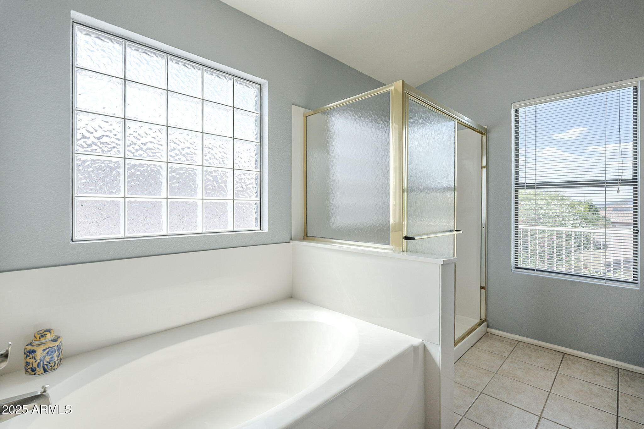 2114 East Escuda Road Phoenix, AZ 85024 - Photo 32 of 42 primary bathroom