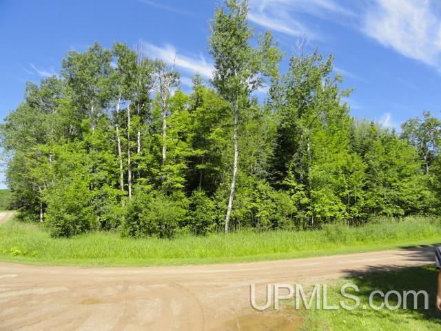 Tbd Puuri Road Baraga, MI 49908 - Photo 16 of 20